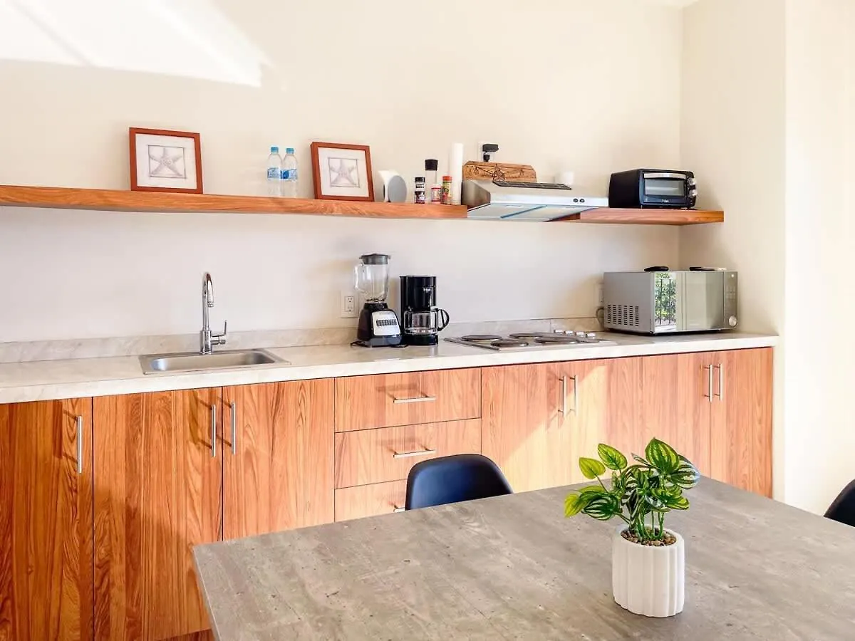 마사틀란 Loft En Centro Historico A 3 Cuadras De Playa - Centro 아파트