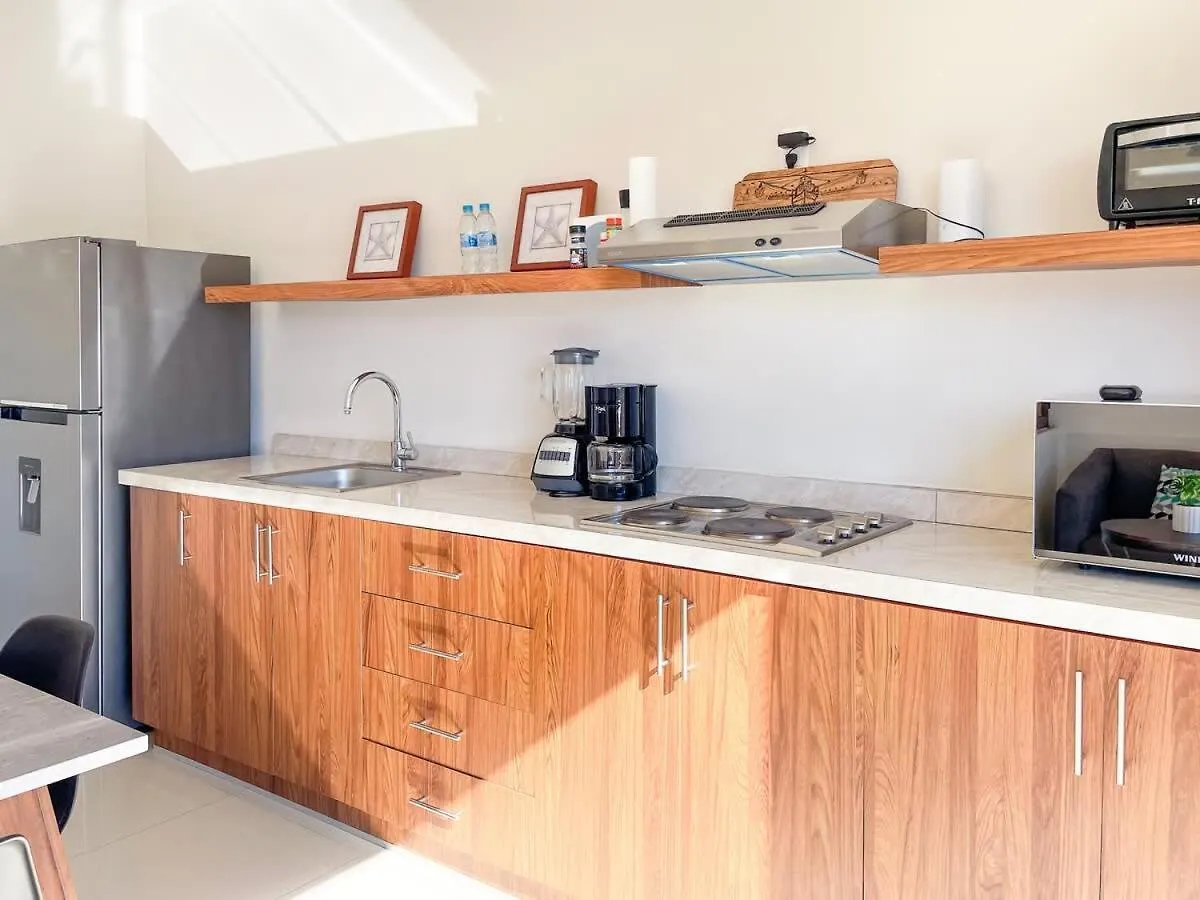 마사틀란 Loft En Centro Historico A 3 Cuadras De Playa - Centro 아파트